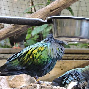 Just loved the colours in the sun