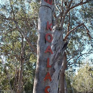 Entrance Sign - Yanchep National Park Koala Enclosure