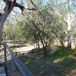 Part of the Enclosure - Yanchep National Park Koala Enclosure