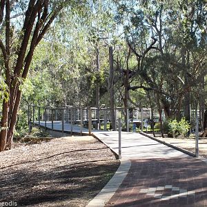 View from Outside - Yanchep National Park Koala Enclosure