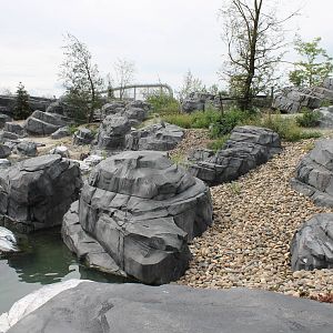 NORTICA : Humboldt penguin enclosure
