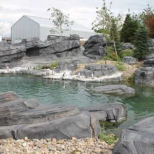 NORTICA : Humboldt penguin enclosure