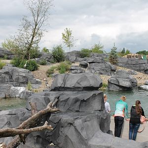 NORTICA : Humboldt penguin enclosure