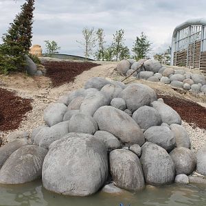 NORTICA : Polar bear enclosure