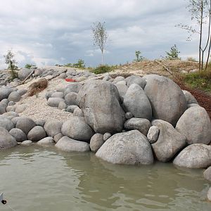 NORTICA : Polar bear enclosure
