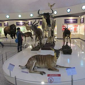 museo de historia natural mexico city