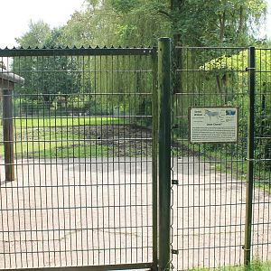 Enclosure Somali wild ass