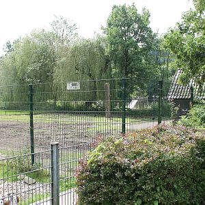 Enclosure Somali wild ass