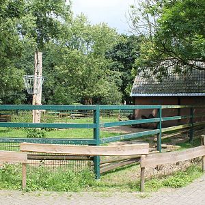 Enclosure Bactrian camel