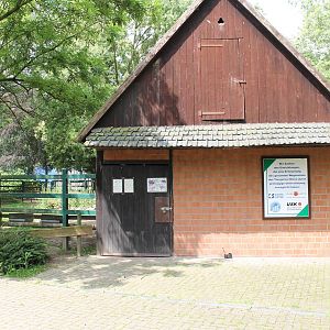 Camel stable