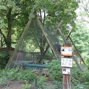 Raccoon enclosure