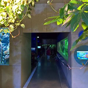 Aquarium overview
