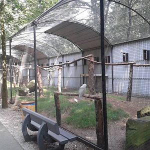 Mixed parrot aviary