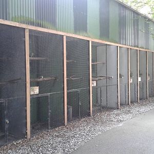 Parrot aviaries