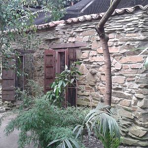 Curassow enclosure in the Bamboo Jungle