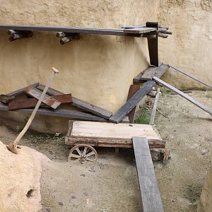 SERENGA - view in empty enclosure