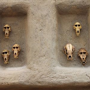 SERENGA - intresting mural