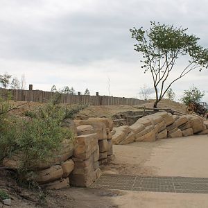 SERENGA - Prairie dog walk-through