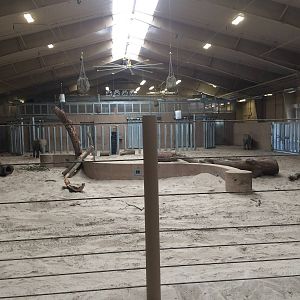 Indoor Elephant Area