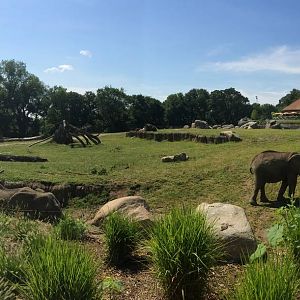 One of the Elephant Habitats Panoramic
