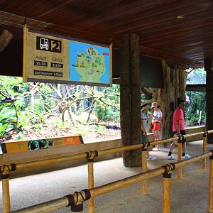 New Callitrichids exhibit