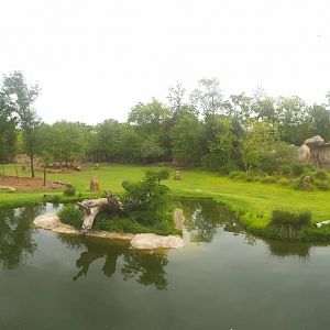 Jul. 2016 - Africa - One Acre Plains Exhibit (10 Species) + Lion Exhibit