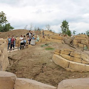 SERENGA - Prairie dog enclosure