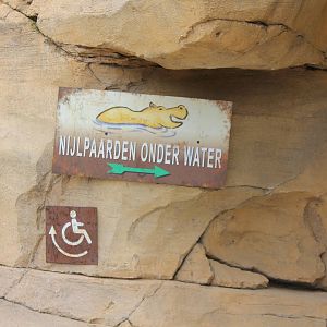 SERENGA - Roadsign to Hippo underwaterviewing