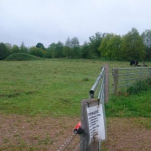 Cattle enclosure