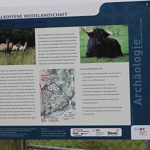 Info sign