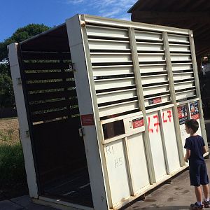 Actual Used Elephant Shipment Container