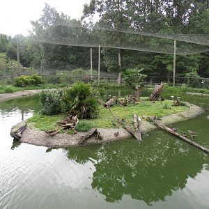 Sylvan Heights Bird Park- Multinational Aviary Overview