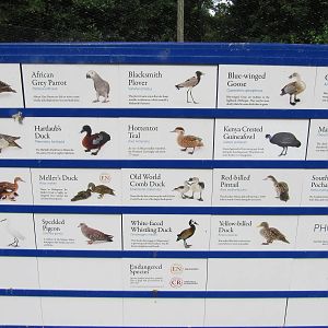 Sylvan Heights Bird Park- African Aviary Species