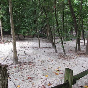 Sylvan Heights Bird Park- Goose Exhibit