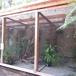 Sylvan Heights Bird Park- African Finches Exhibit