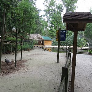 Sylvan Heights Bird Park- Australia Aviary Overview