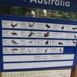 Sylvan Heights Bird Park- Australia Aviary Species List