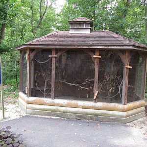 Sylvan Heights Bird Park- Sun Conure Aviary
