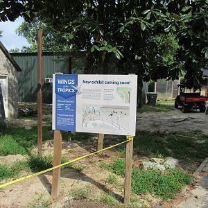 Sylvan Heights Bird Park- Wings of the Tropics- Coming Soon!