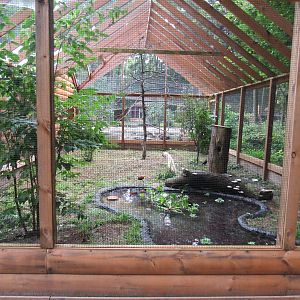 Sylvan Heights Bird Park- Small African Aviary