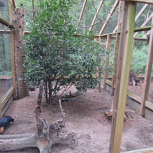 Sylvan Heights Bird Park- Mixed Species Aviary