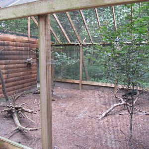 Sylvan Heights Bird Park- Javan Pond Heron and Green Peafowl Aviary