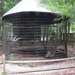 Sylvan Heights Bird Park-Eurasian Eagle-Owl Exhibit