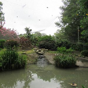 Sylvan Heights Bird Park- Eurasian Aviary