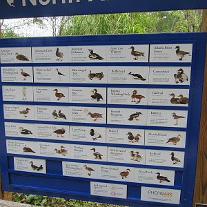 Sylvan Heights Bird Park- North American Aviary Species List