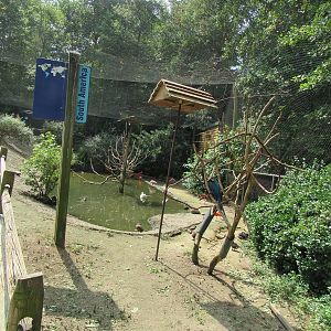 Sylvan Heights Bird Park- South American Aviary Overview 1/2