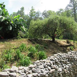 Sylvan Heights Bird Park- South American Aviary Overview 2/2
