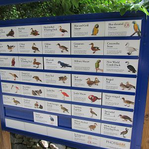 Sylvan Heights Bird Park- South American Aviary Species List
