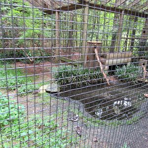 Sylvan Heights Bird Park- Ruff Aviary