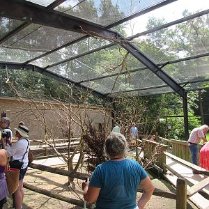 Sylvan Heights Bird Park- The Landing Zone